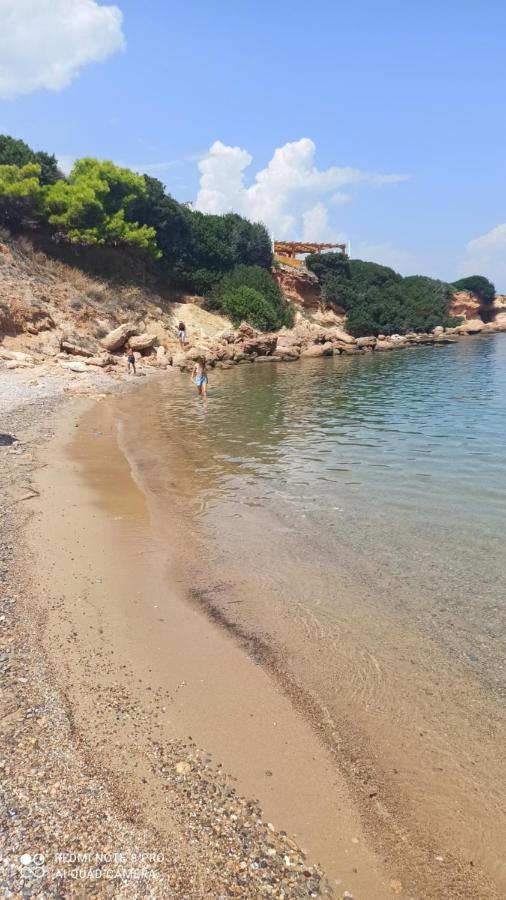 Sea Soul Βίλα Αρτέμιδα Εξωτερικό φωτογραφία