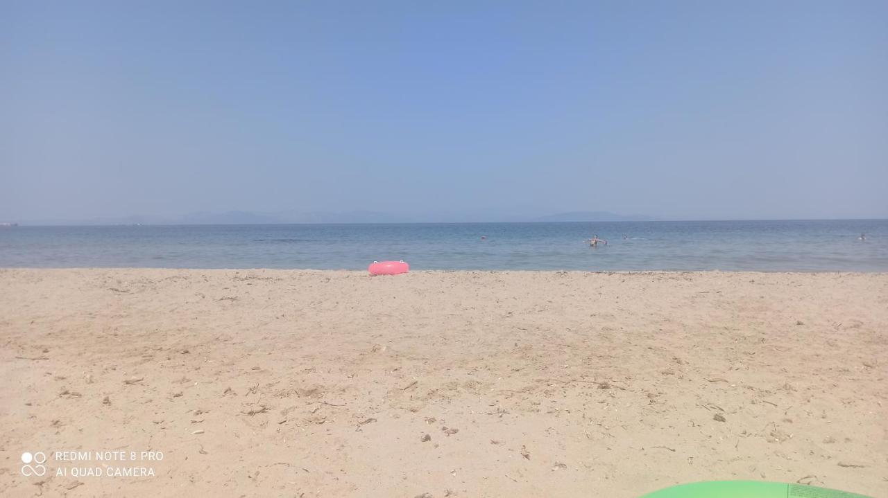 Sea Soul Βίλα Αρτέμιδα Εξωτερικό φωτογραφία